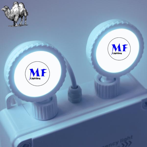 Double Head Waterproof IP65 Outdoor Indoor Long Duration Time Rechargeable Non Maintained Rechargeable Battery Warmming Exit Sigh LED Emergency Light