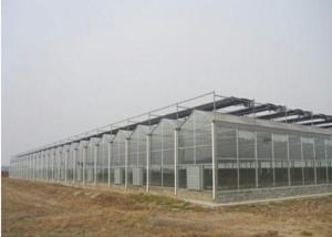 China Agriculture Clear Polycarbonate Greenhouse Good Heat Preservation Effect wholesale
