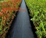 Garden Agricultural Weed Mat,Plastic Ground Cover, Weed Control Mat, pp woven