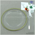 10.25 Inch Disposable Clear Plastic Salad/Dessert Plates- Premium Hard Plastic