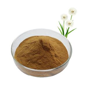 China Healthcare Supplement Dandelion Powder Flavonoids Organic Dandelion Extract on sale