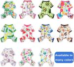 Pet Clothes Set Include Cute Pet Dress Lovely Fruit Dog Dress and 2 Pieces Dog