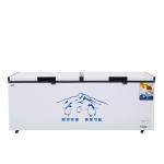 High quality Super Market Display Fan Cooling Upright Unforged Glass Door Chest