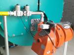 WNS 2tph Heavy Oil Steam Boiler Horizontal For Greenhouse Heating System