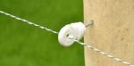 Galvanized Electric Fence Insulator Ring Shaped Screw In Insulator