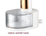Portable Electric Garment Steamer for Home or Travel 220V 250ml Water Tank