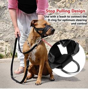 China Nylon Dog Muzzle Collar Leash Harness Set Soft Padded Dog Mouth Cover Anti Bite wholesale