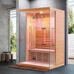 Indoor Luxury Spa Keep Body Health Steam and Infrared Sauna 1900W