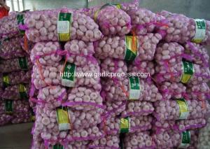 China Garlic Dosing Mesh Bag Packing Machine wholesale