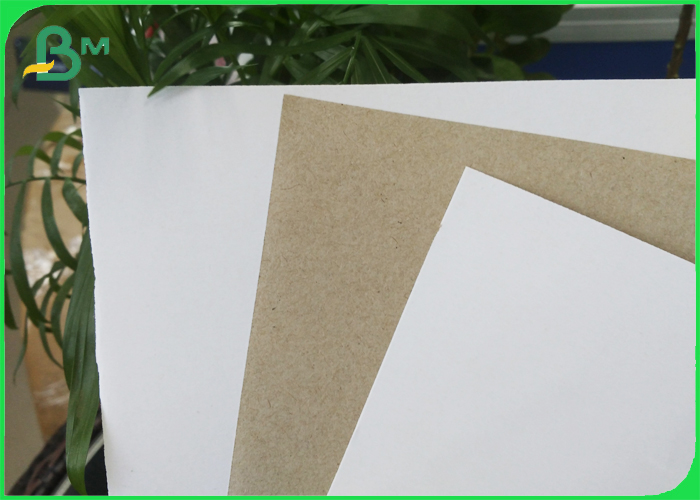 white coated duplex board