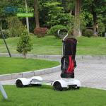 Removable Battery Scooter Golf Bag Carrier 10.5 Inch Tire 4 Hour Full Charging