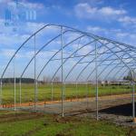 Single Layer Polyethylene Film Greenhouse Steel Structure Anti Rust