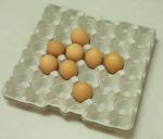 Paper forming Egg Tray Production Machine Disposable Plate Making