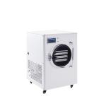 Commercial System Kitchen Multifuntional Fresh Potato Chips Freeze Dryer