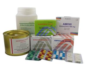 China Amoxicillin Capsules 500MG BP / USP /CP Antibiotics Medicines, GMP wholesale