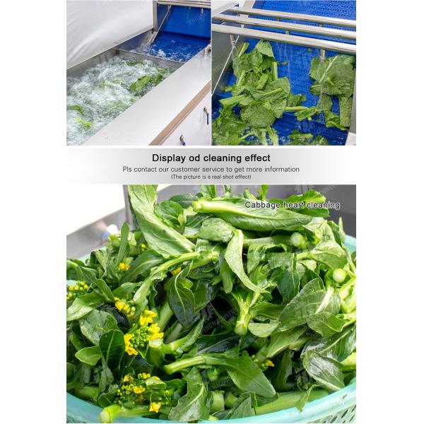 240KG 380V Automatic stainless steel fruit washing machine fruit cleaning equipment