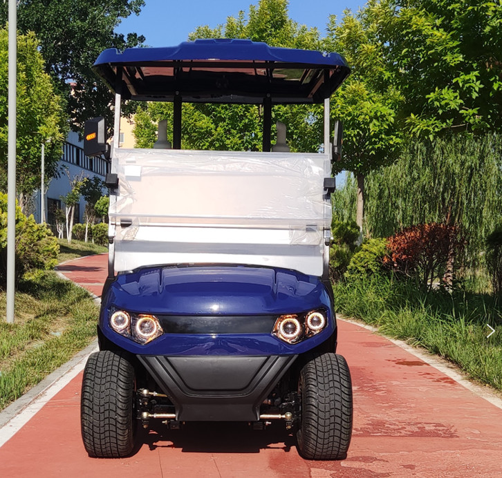 Convenient And Practical 2 Seater Golf Cart With Ample Storage Space Gradeability >20% Lithium Battery