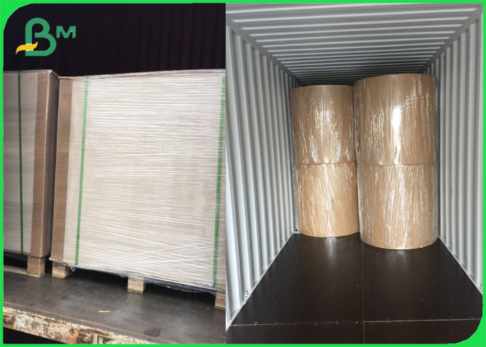 FDA approved 1 side PE Coating Brown Craft Paper Rolls 36" for Metal Packaging