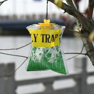 China Water-soluble Fly Trap for Safe and Effective Pest Management 55*44*43cm Carton Size wholesale
