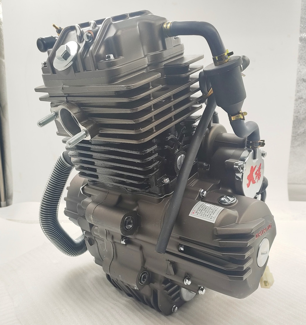 250CC DAYANG Motorcycle Engine Single Cylinder 4 Stroke Wolf Water-Cooled Cold Style