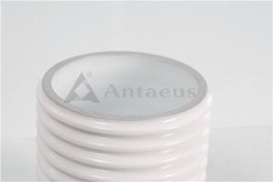 China ISO9001 Ceramic Protection Tube Metallized Electrical Hollow Ceramic Tubes wholesale