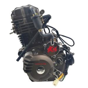 China 250CC DAYANG Motorcycle Engine Single Cylinder 4 Stroke Wolf Water-Cooled Cold Style wholesale