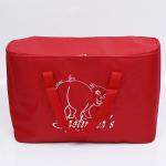 Promotional keep warm bag insulated cooler bag lunch ice box recyclable food