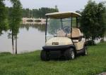 Two Passenger Electric Motor Golf Cart Red Color With Plastic Bodywork