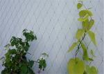 304 / 316 Stainless Steel Cable Trellis , Stainless Steel Green Wall Mesh