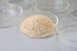 High Temperature Resistance Thermostable Alkaline Protease for Leather Industry