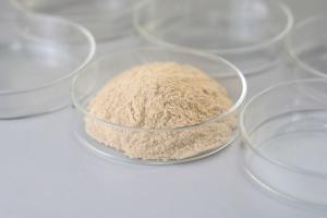 China Catalase Industrial Enzyme Soluble In Water wholesale