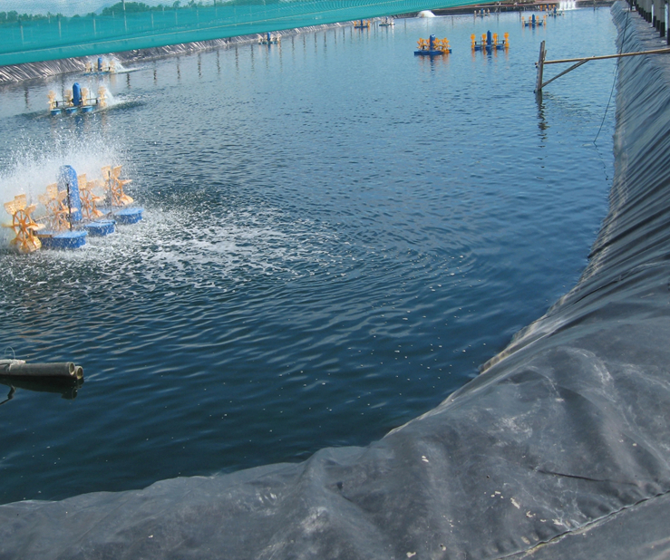 Geomembranes in Industrial Design Style for Easy Installation Pond and Dam Liners