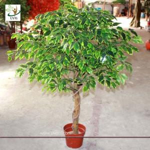 China UVG Indoor artificial miniature banyan tree in plastic leaves for home garden landscaping wholesale