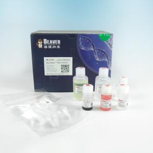 China 150 μm His Tag Protein Purification IDA Cobalt Magbeads Kit 10% Volume Ratio wholesale
