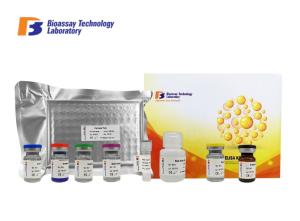 China High Sensitivity And Specificity CORT Porcine ELISA Kit / Corticosterone Sandwich ELISA Kit wholesale