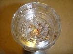 Glass Jar PC Cap 139mm 147g 100ml Glass Spice Grinder