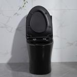 Iapmo Bathrooms Toilets Matte Black 1 Piece Dual Flush Toilet Elongated Siphonic