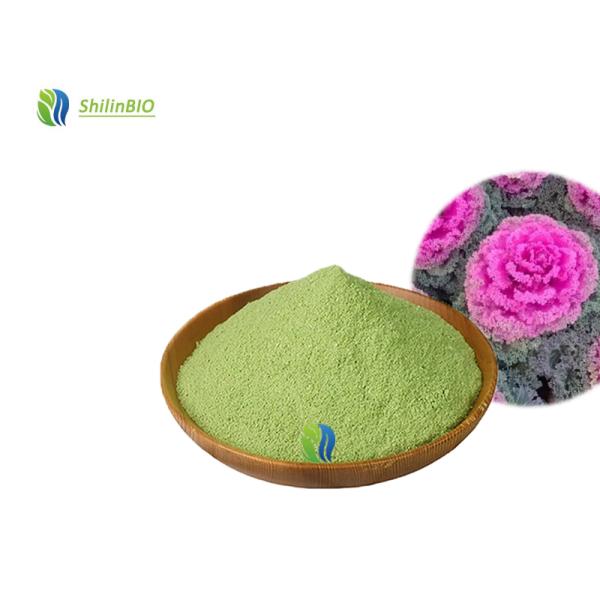 Bulk Kale Powder