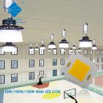 COB LED CHIP High Power 4046 50W 100W 150W 200W Diode for Street Flood Light