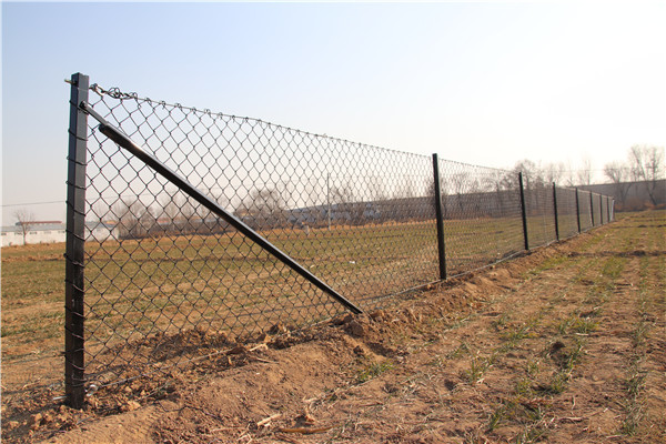 2.1mx10mx50x50mm galvanized steel chain link fence rolls from ". Victoria "