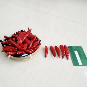 China Get Red Chilli Pepper Ring Optimal Size 0.5-1.5cm B2B Buyers Top Choice wholesale