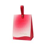Custom Color Accepted Christmas Kraft Paper Gift Bag with Customized Logo and