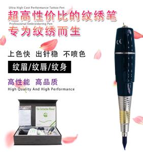 China Black Permanent Makeup Machine 100 - 240V Scalp MicrGel polishgmentation Pen wholesale