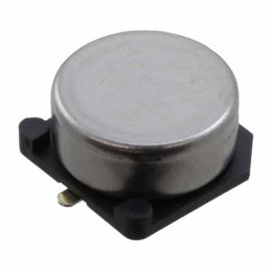 China FCS0V104ZFTBR24 wholesale