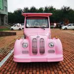 Pink Classic Sightseeing Car New Electric Vintage Car Can Carriage 8 -11 People