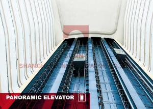 China Fuji Panoramic Elevator 12 People Passenger Residential Glass Elevator wholesale