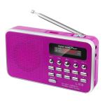LED FM Portable Battery Operated Radio With 3.7V 400mAh Battery