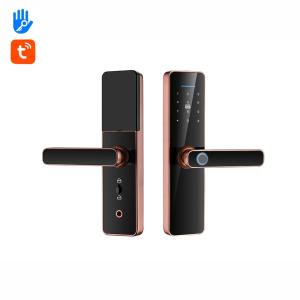 China Intelligent Password Fingerprint Door Lock TTlock Auto Door Locks For Home wholesale