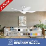 DC Motor 5 ABS Blades Ceiling Fan , White 3 Color Led Light Decorative Ceiling