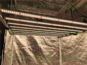 China Horticulture Fluence Spydr 2p 650W LED Grow Light Bar wholesale